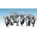 Goblin Wolf Riders